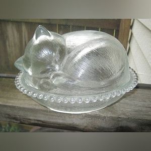 Pet glass dish bowl